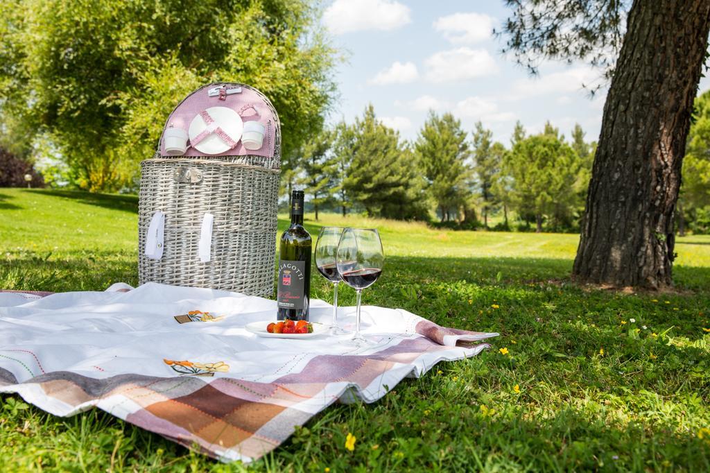 Agriturismo Colleverde Selvatelle Kültér fotó