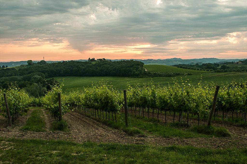 Agriturismo Colleverde Selvatelle Kültér fotó