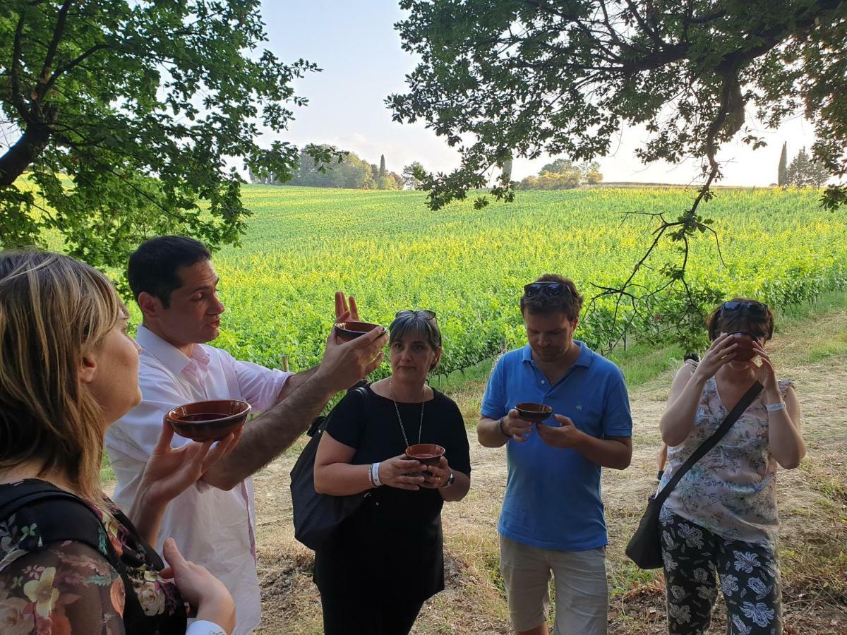 Agriturismo Colleverde Selvatelle Kültér fotó